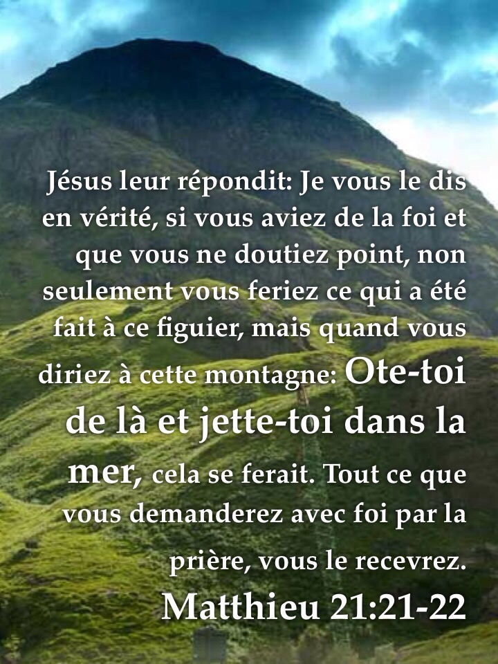 Matthieu 21:21-22