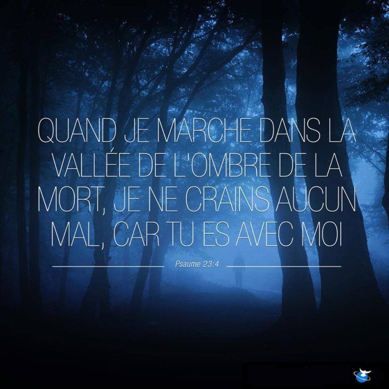 Psaume 23:4