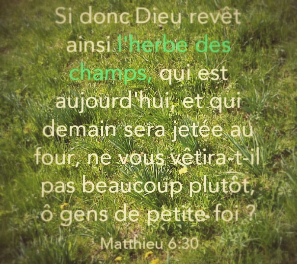 Matthieu 6:30