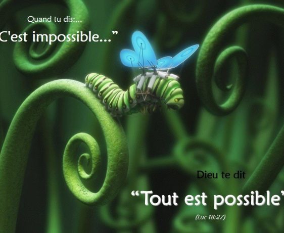 Luc 18:27