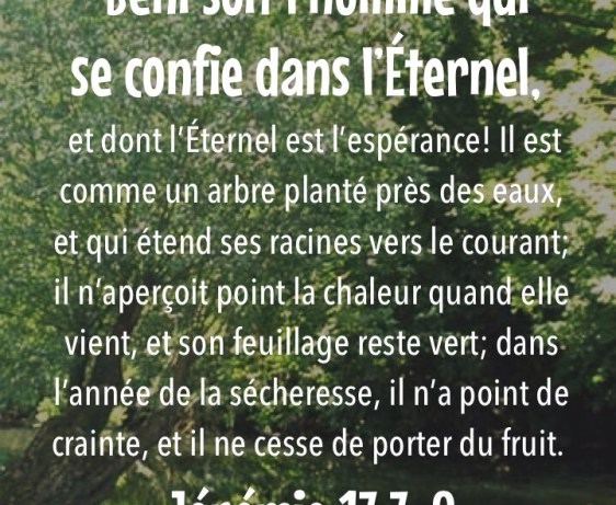 Jérémie 1:7-8