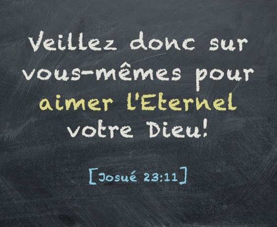 Josué 23:11