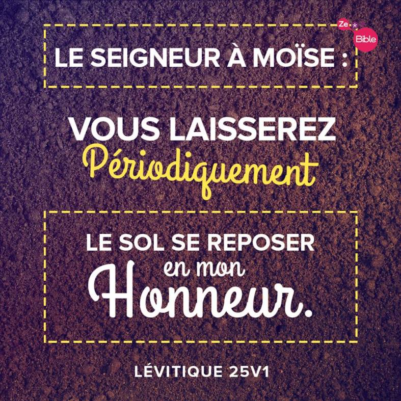 Lévitique 25:1