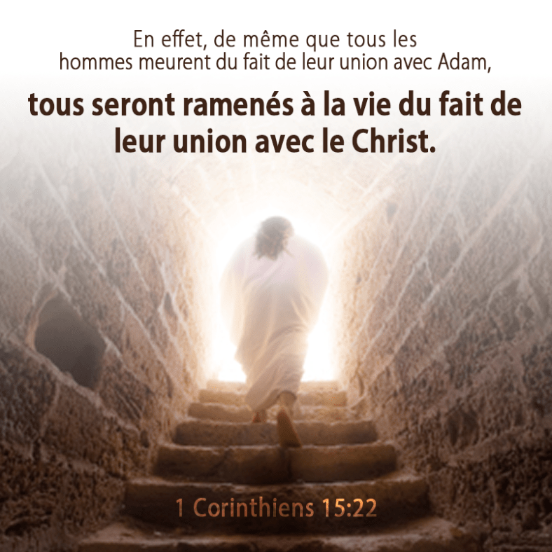 1Corinthiens 15:22