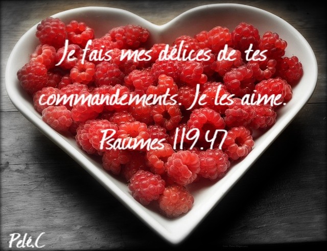 Psaume 119:47