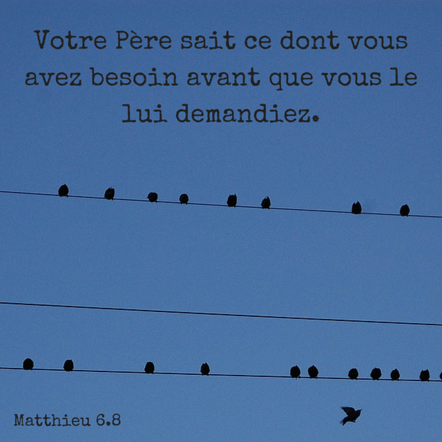 Matthieu 6:8