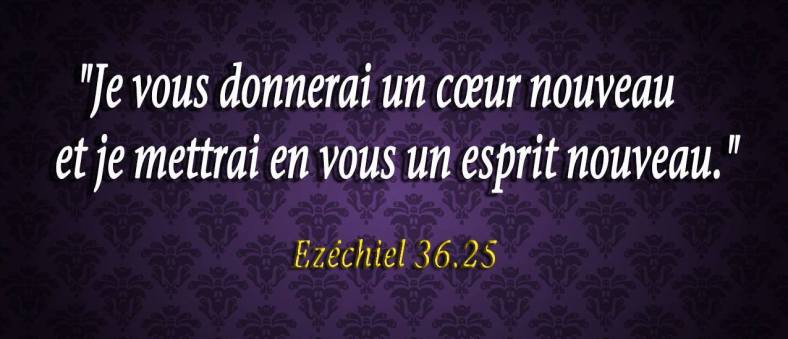 Ézéchiel 36:25