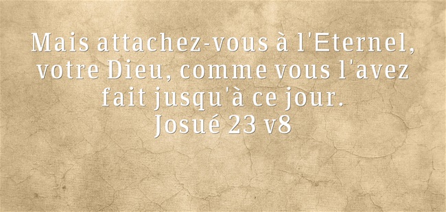 Josué 23:8