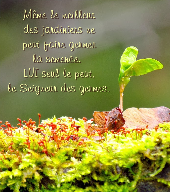 Citation Meilleur jardinier