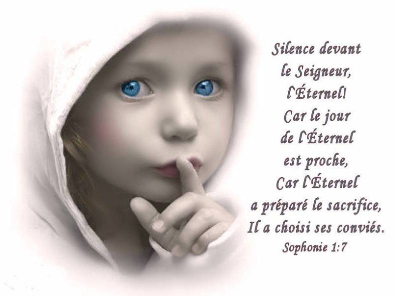Sophonie 1:7