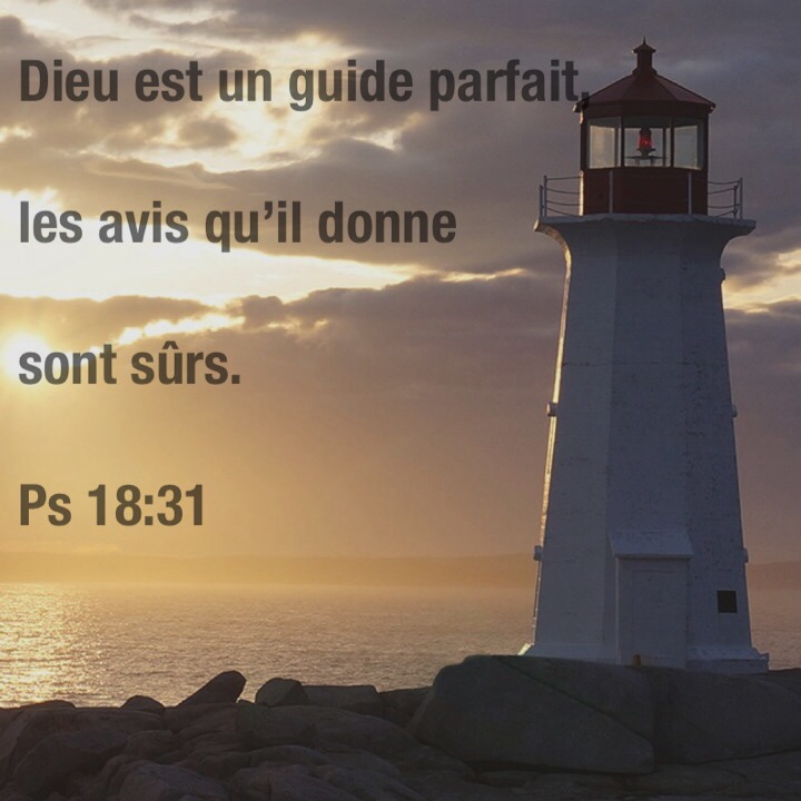 Psaume 18:31