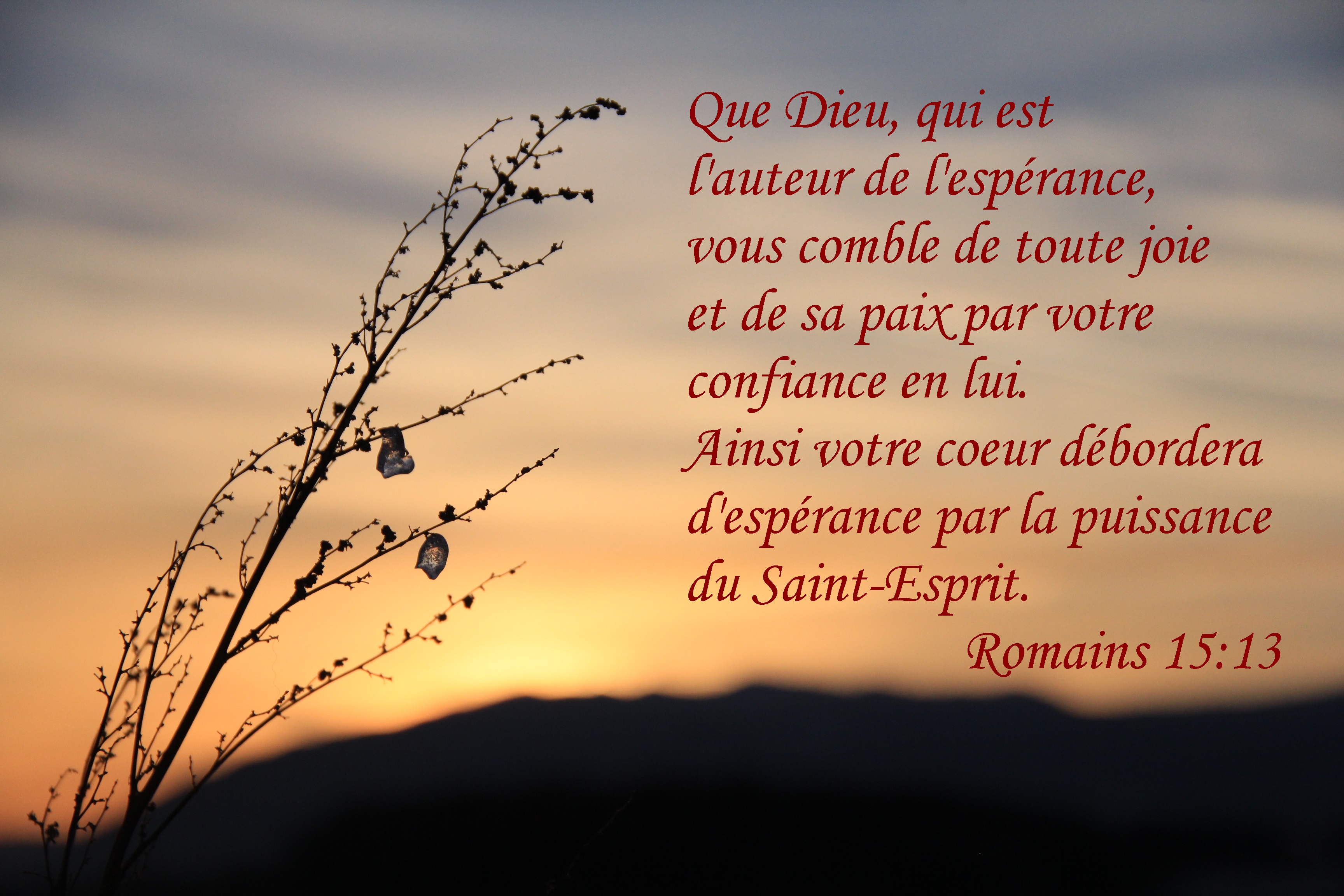 L’auteur de l’espérance | 1001 versets