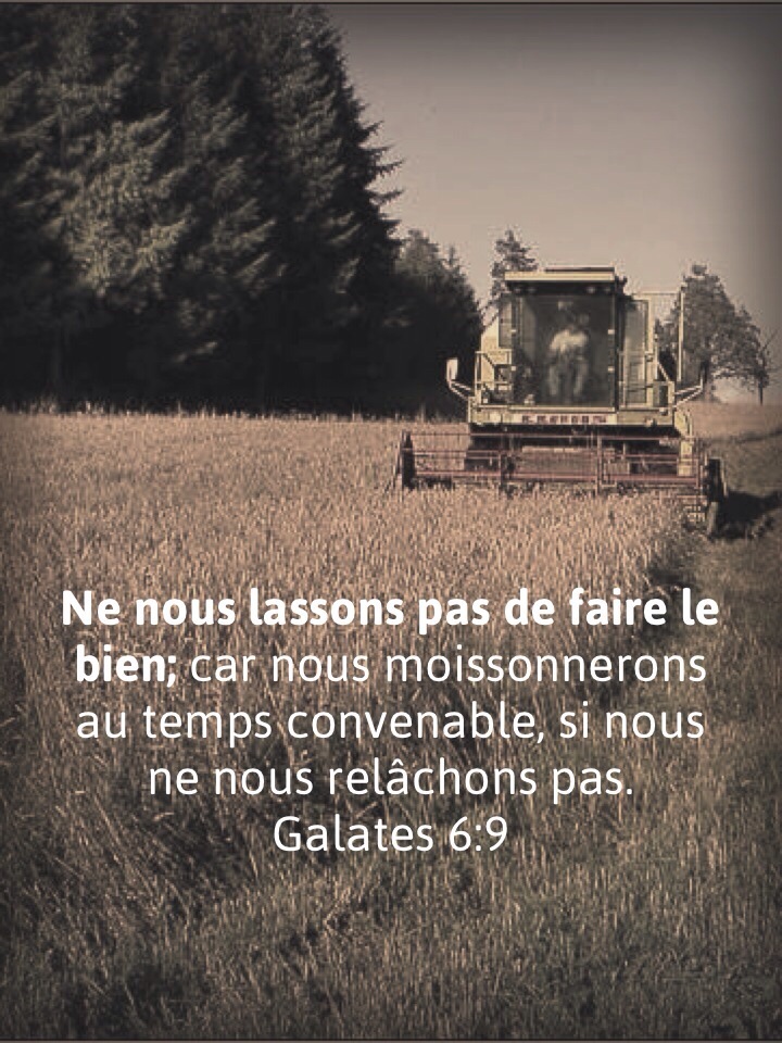 Galates 6:9