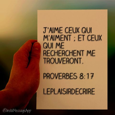 Proverbes 8:17
