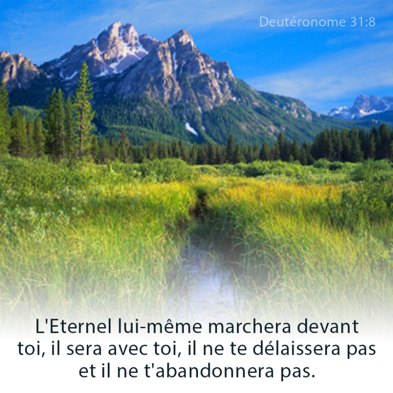 Deutéronome 31:8