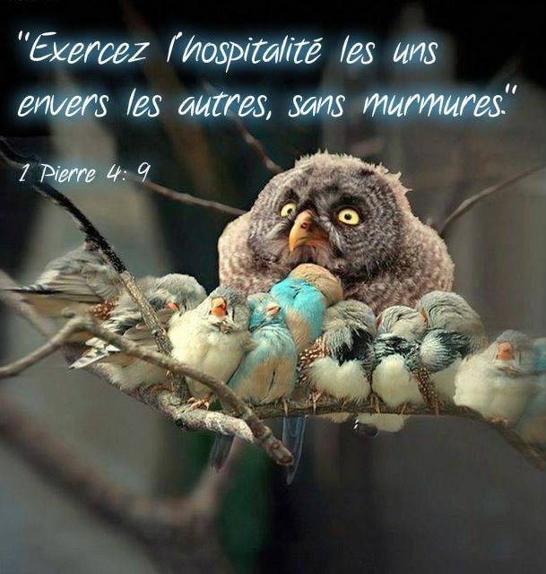 1 Pierre 4:9