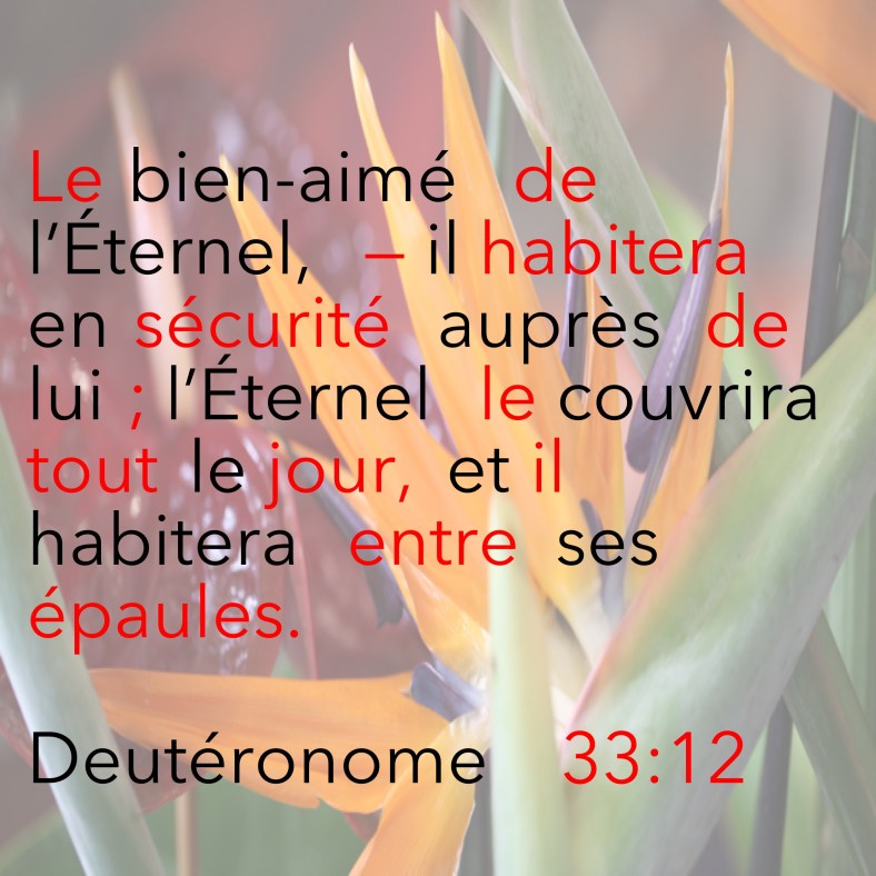 Deutéronome 33_12