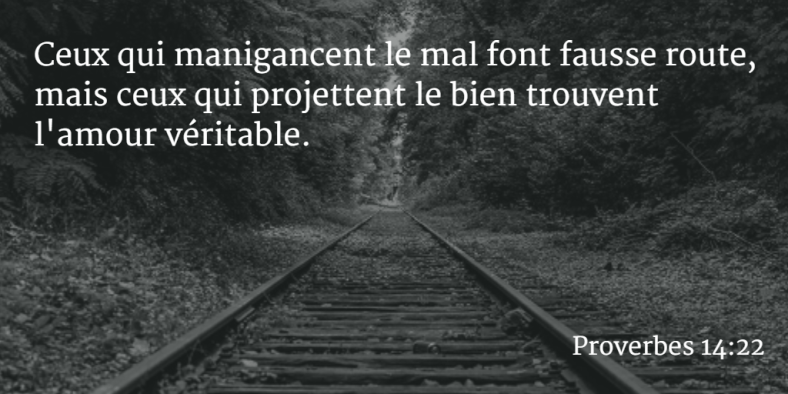 Proverbes 14:22