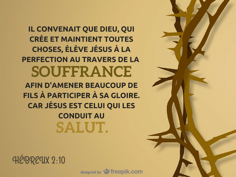 Hébreux 2:10