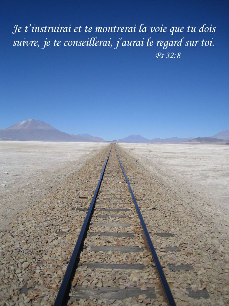 Psaume 32:8 (2)