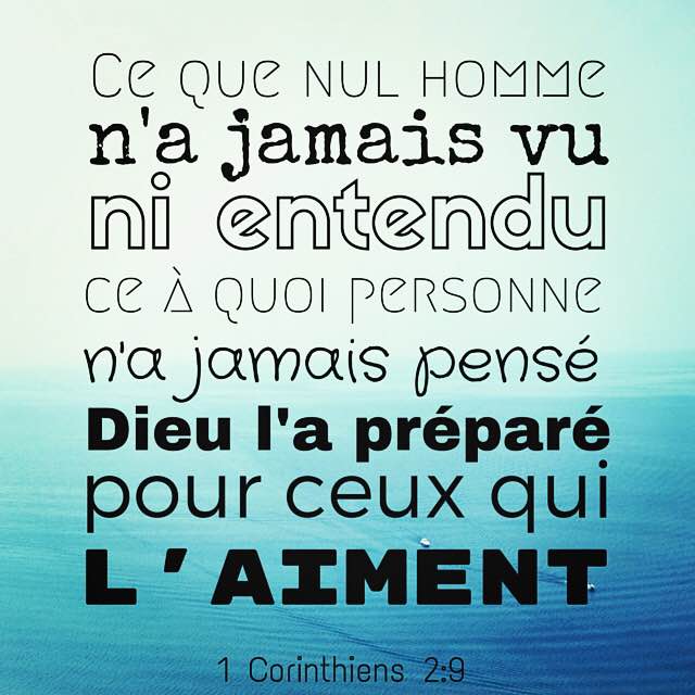 1 Corinthiens 2:29