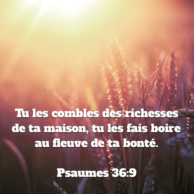 Psaume 36:5