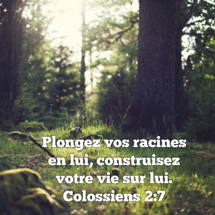 Colossiens 2:7