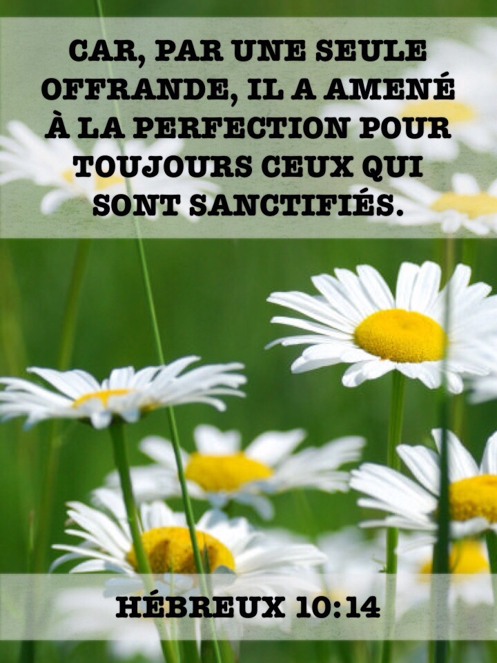 Hébreux 10:14