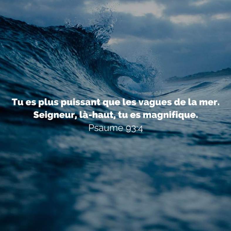 Psaume 93:4
