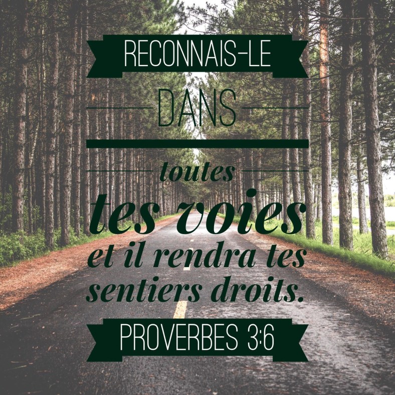 Proverbes 3:6