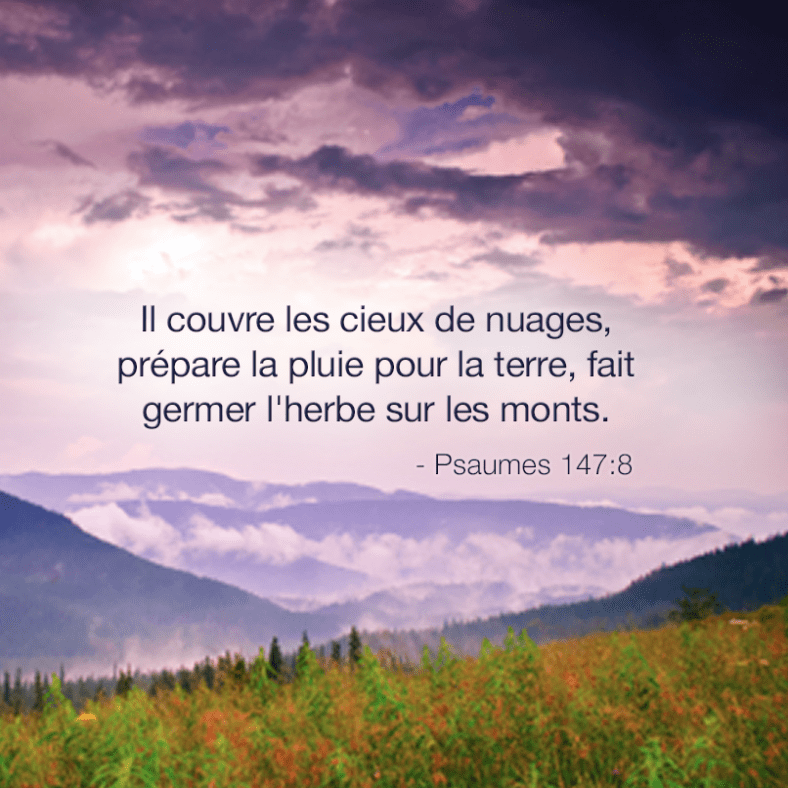 Psaume 147:8