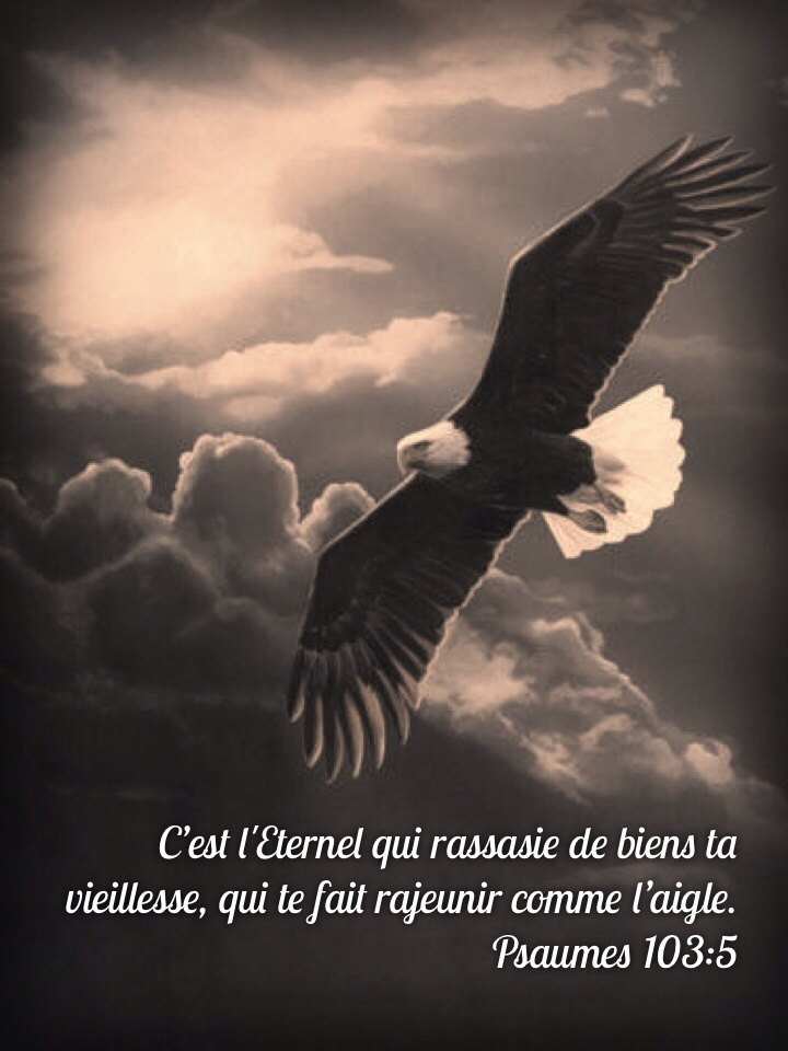 Psaume 103:5