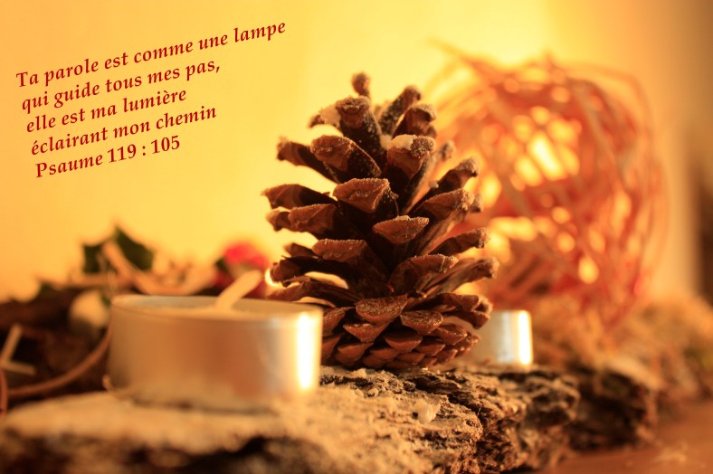 Psaume 119:105
