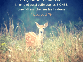 Dieu, force, biche
