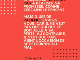 servir, patience, bien, 2Pierre
