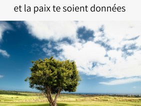 grâce, compassion, paix