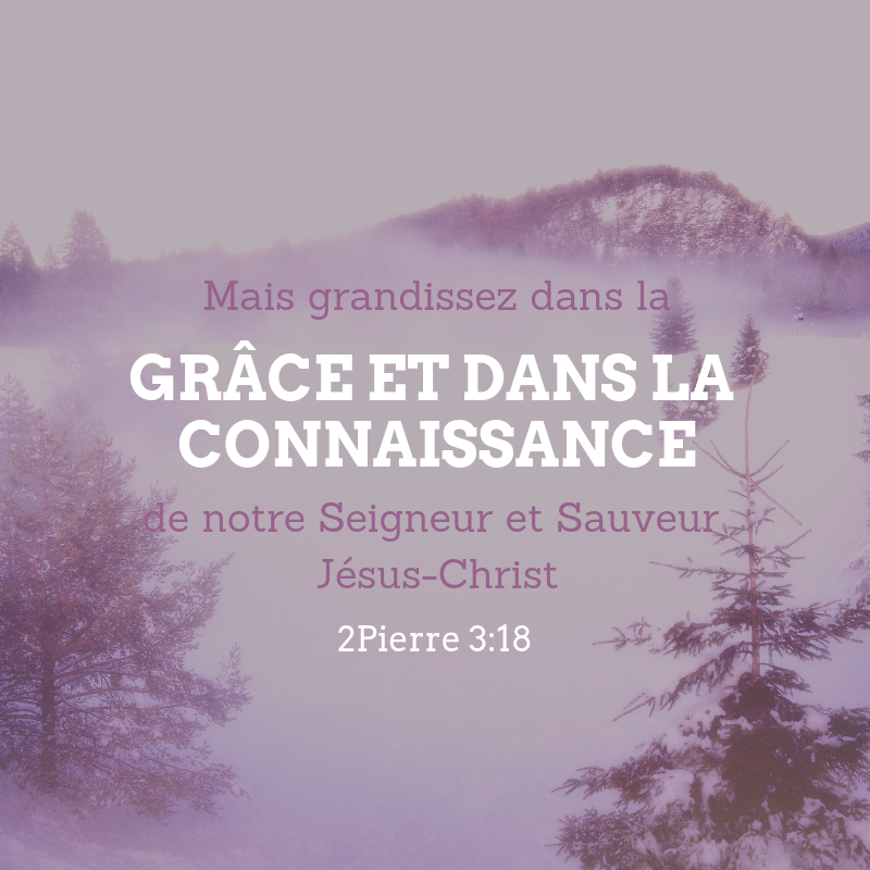 Grandir Dans La Gr ce Et La Connaissance 1001 Versets grandir-dans-la-gr-ce-et-la-connaissance-1001-versets