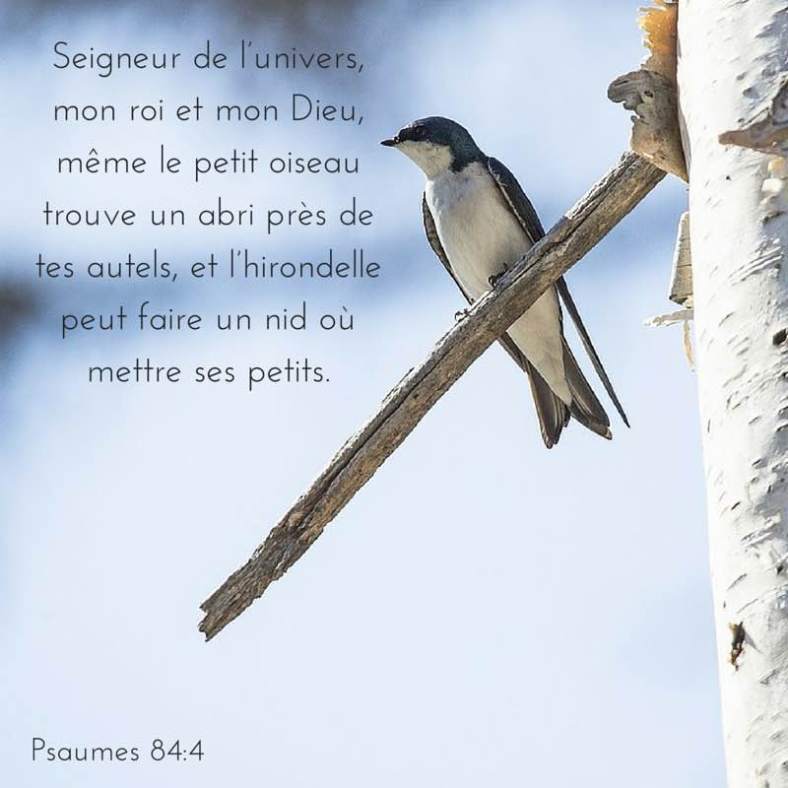 Psaume 84:4